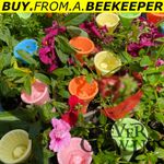 BEE CUPS Garden Insect Drinking Cup Drinking Water Set for Flower Bee Cups