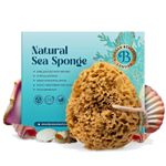Soft Natural Sea Sponge for Bath and Shower UK Honeycomb Bath Jordan Benedict