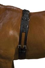 Weatherbeeta Deluxe Equigrip Lunge Roller