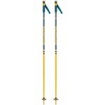 Rossignol Stove Ski Poles (Teal/Mustard)