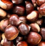 1kg Sweet Chestnuts Kent Woodland Fresh  Natural 100+ Nuts Roasting Stuffing 