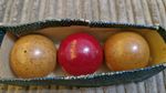 Vintage Boxed Set 3 x Billiard Balls 2x Badge one with Black Spots ,1 x Red