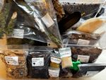 Millipede invert 25L With Large Vents Starter Kit Full Set Up , Leaf Litter ,