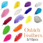 Natural Ostrich Feathers 35-60cm Wedding Craft Millinery Costumes Decor 5-10pcs