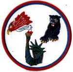 USAF 48th FIGHTER WING GAGGLE MILITARY PATCH