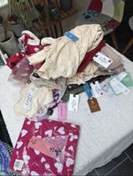 Huge Women’s Clothing Job Lot Bundle BNWT New With Tags Reseller 20x ITEMS