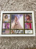 Taylor Swift Autographed Original Concert Memorabilia Framed Collage