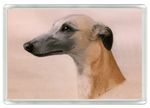 WHIPPET DOG FRIDGE MAGNET GREAT GIFT