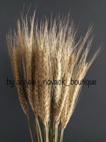 DRIED FLOWERS 35 STEMS WHEAT/RYE BUNCH WEDDING ARRANGEMENT NATURAL BOUQUET 15”