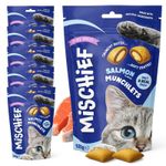 6-12 x 125g Cat Treats Salmon Cat Biscuits Snack 125g Pillows Pocket Bites