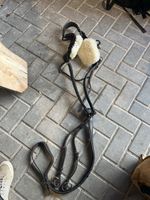 Albion 5 Point Running Martingale