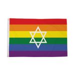 Flagtex Star Of David Rainbow Flag Jewish Pride Flag with Eyelets