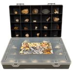 Large Fossil Gift Set with 20 Selected Fossils from Around the World