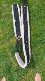 Equestrian Roller/training Aid