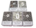 Lunar meteorite moon rock collection 5 different finds in display cases NWA more