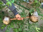 6/7 inches Double Chalice Singing Bowl With Handle -  Sound Energy Healing