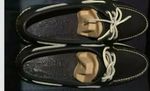  Mens Sperry top sider shoes new in box UK  size 10