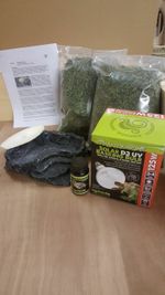 tortoise table and starter kit  48"x24"x8" WITH free postage