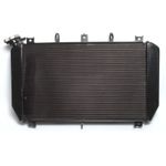 Pattern Replacement Aluminium Radiator for Kawasaki Z 900 17-21