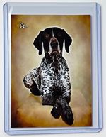 German Shorthaired Pointer Limited Edition Artist Signed Trading Card 3/10
