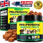 Oimmal Dog Probiotics 120 Soft Chews Pre & Probiotic Digestive Gut Health Treats