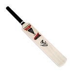 Ian Botham Signed Duncan Fearnley Cricket Bat Miniature Size Autograph COA