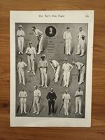 Antique 1906 The South African Cricket Team Players Book Page Print Picture