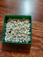 Niihau Shells For Jewellery Making