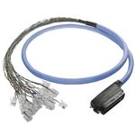 RJ21 MALE plug HYDRA Amphenol Cat3 Telco Breakout Cable to 24x RJ11 (RJ12) Plugs