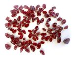 50g Red petal murrini for glass fusing made with Bullseye 90coe glass