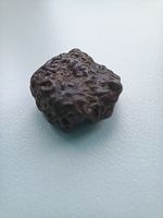Meteorite