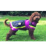Lightweight Waterproof Dog Coat