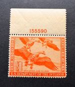 #RW11 1944 Plate# - US Federal Duck Stamp - Mint OG NH **WELL CENTERED**