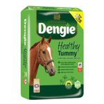Dengie Healthy Tummy 20Kg - Nutritionally-Balanced, High-Fibre Horse Feed