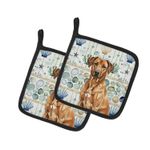 Caroline's Treasures Rhodesian Ridgeback Coastal Sea Glass Pair of Potholders