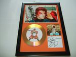 DAVID BOWIE   SIGNED  DISC  FRAMED 23