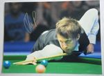 Signed Judd Trump 16x12 snooker Photo