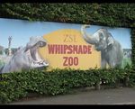   Whipsnade ZOO TICKETS 