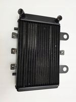 Triumph Thunderbird 900 Sport Water radiator