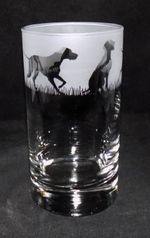 New 'GERMAN POINTER' Hand Etched Highball Glass with Gift Box - Perfect Gift!