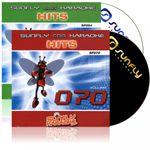 2 x Karaoke CD+G Discs SF070 and SF064 Sunfly Hits 30 CDG Tracks Sixties 60s