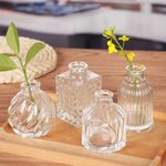 10PCS/SET Glass Vase Crystal Clear Small Vase Set Decorative Elegant Vase