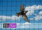Garden Netting Strong 28mm Mesh Heavy Duty Anti Bird Knotted Net Plant Protect