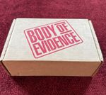 MADONNA BODY OF EVIDENCE VIDEO STORE MOVIE DISPLAY BOX PASSION PROMO LOT SEX LP 