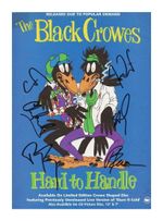 THE BLACK CROWES ENTIRE GROUP AUTOGRAPHED SIGNED A4 POSTER PHOTO PRINT