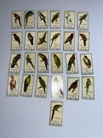 C W S Fulvous Cigarettes Trading Cards Parrot Series , Repro Set Of 25 Unused