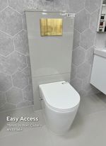 Bidet Toilet CC WC Back to Wall  Built in Bidet Jet Japanese Mixer Shower Douche
