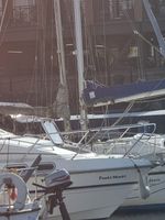 Sealine 225 Senator Marine Boat