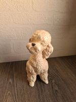 Large Vintage Sylvac Sitting Poodle Dog No. 5031, light beige, 22cm tall