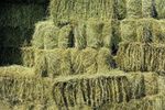 Meadow Hay Bale - Animal Feeding & Bedding - Nutritious Grasses & Wildflowers